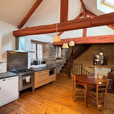 Cosy Eglantine And Planta - Clemenceau Hypercentre *