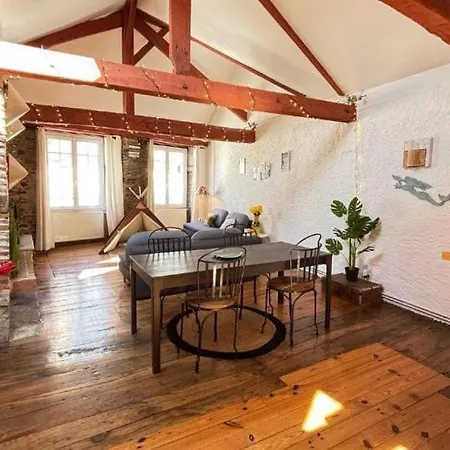 Cosy Eglantine And Planta - Clemenceau Hypercentre Nyaraló Pau