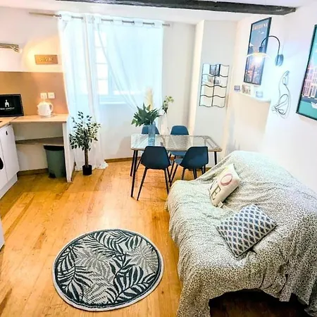 度假居 Cosy Eglantine And Planta - Clemenceau Hypercentre - 2 Places De Parking Souterrain