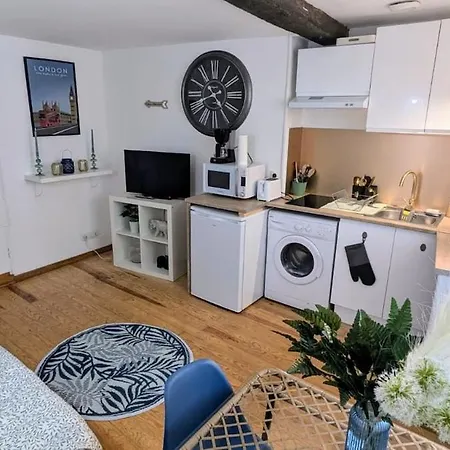 Cosy Eglantine And Planta - Clemenceau Hypercentre - 2 Places De Parking Souterrain *
