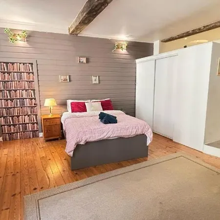 Cosy Eglantine And Planta - Clemenceau Hypercentre - 2 Places De Parking Souterrain 度假居