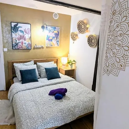 度假居 Cosy Eglantine And Planta - Clemenceau Hypercentre - 2 Places De Parking Souterrain 波城