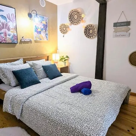 度假居 Cosy Eglantine And Planta - Clemenceau Hypercentre - 2 Places De Parking Souterrain 波城