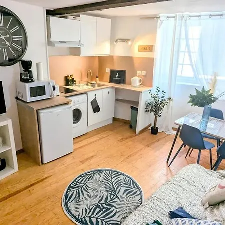 Cosy Eglantine And Planta - Clemenceau Hypercentre - 2 Places De Parking Souterrain * Pau
