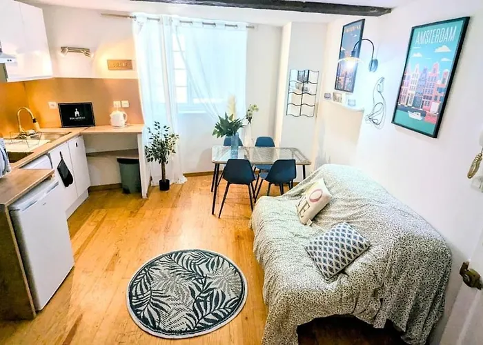 Сasa de vacaciones Cosy Eglantine&planta - Clémenceau Hypercentre