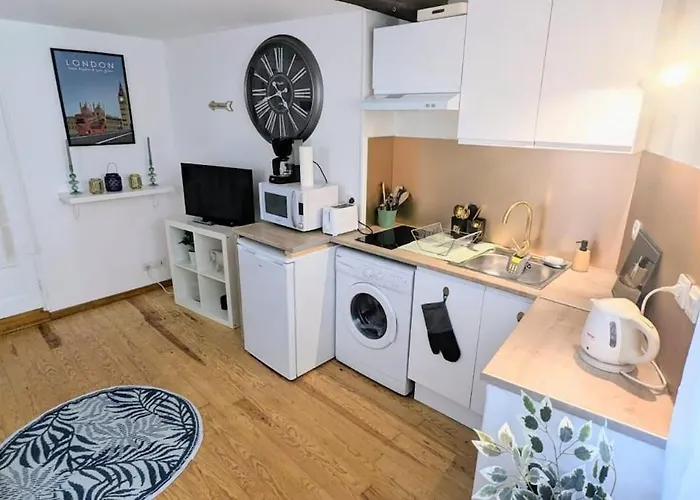 Сasa de vacaciones Cosy Eglantine&planta - Clémenceau Hypercentre