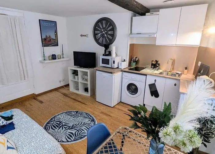 Cosy Eglantine&planta - Clémenceau Hypercentre *