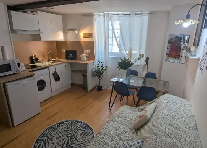 Cosy Eglantine&planta - Clémenceau Hypercentre *