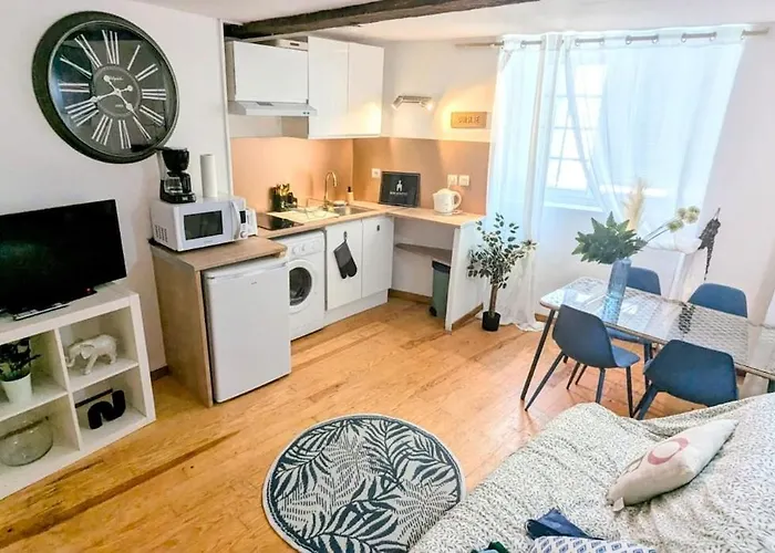 Cosy Eglantine&planta - Clémenceau Hypercentre * Pau